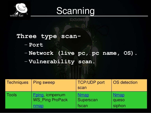 Penetration testing port scanning Veronica dol hustler